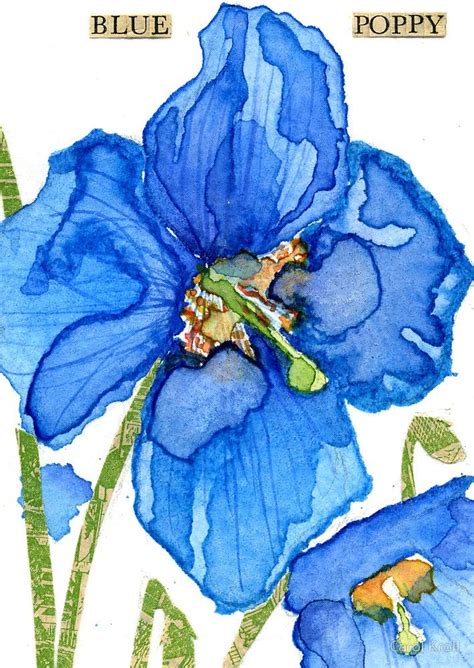 Blue Poppy By Carol Kroll Watercolor Poppies Watercolor Flowers