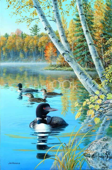 seasons of the lake loons hi look online