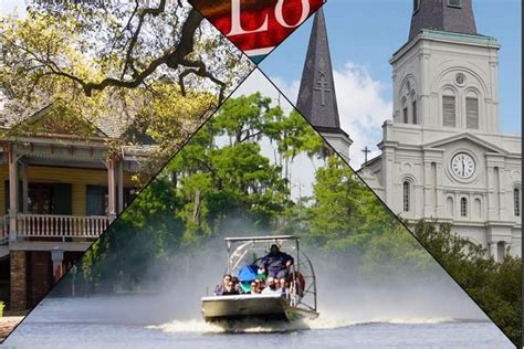 New Orleans City Tour With Swamp Tour Options Triphobo