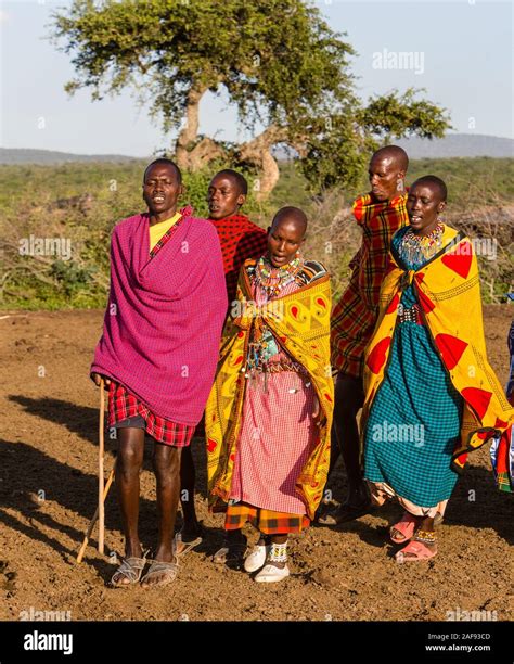 La Tanzanie Village Massaï De Ololosokwan Nord De Serengeti Les Villageois Lexécution De