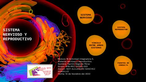 Top Imagen Sistema Nervioso Y Reproductivo Mapa Mental Viaterra Mx