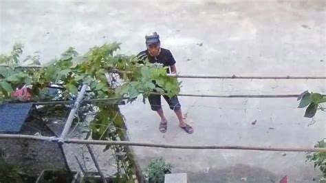 Bb Studio Dog Thief Caught In Camera Vietnam 2017 Youtube