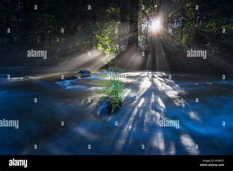Fog And Sun Breaking Through The River Stock Photo Alamy