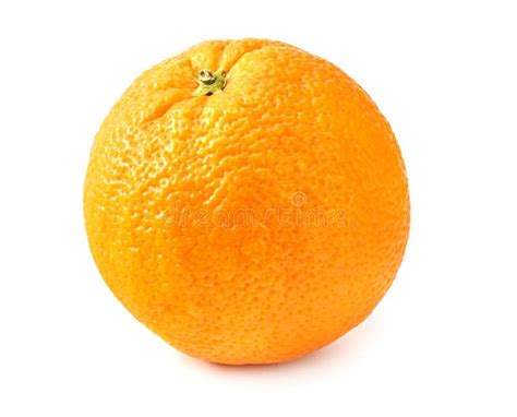 Single Orange Fruit Isolated On White Background Stock Image Image Of