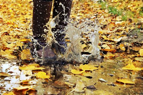 Wallpaper Fall Leaves Water Branch Yellow Orange Boots Puddle