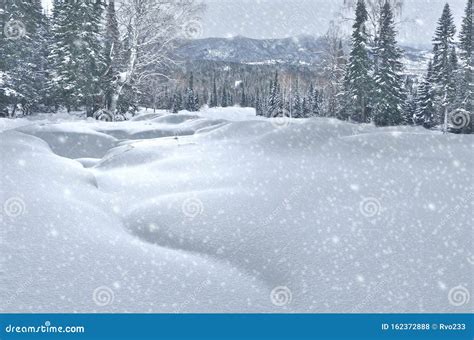 Snowfall In Mountain Winter Forest With Snow Covered Spruces Stock