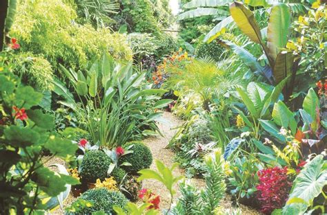 How To Create A Jungle Style Garden