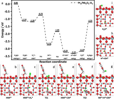 Reaction Pathway Based On Dft Calculations Calculated Energy Profile Of