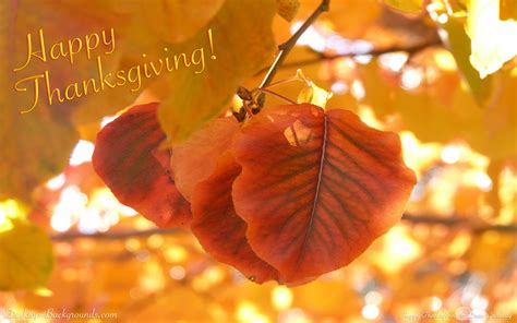 Thanksgiving Wallpapers And Screensavers 57 Images