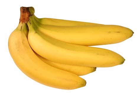 Biologia 12º Bananas Correm Risco De Extinção