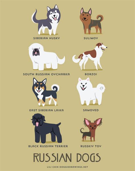 Dogs Of The World Cute Posters Show The Origins Of 200 Dog Breeds