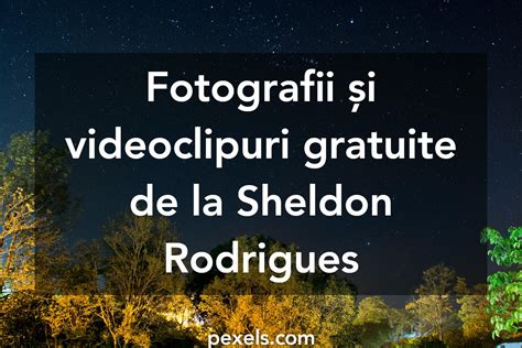 Sheldon Rodrigues Fotografie