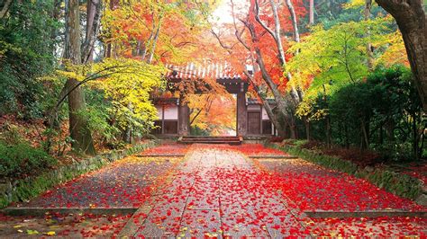 17 Wallpaper Autumn Season In Japan Basty Wallpaper