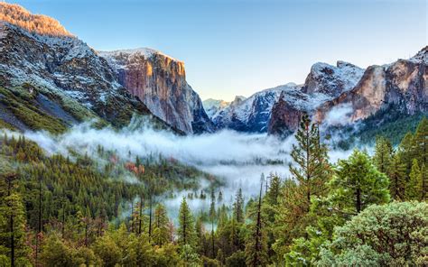 배경 화면 미국 요세미티 국립 공원 캘리포니아 산들 안개 나무 1680x1050 1002697 배경 화면