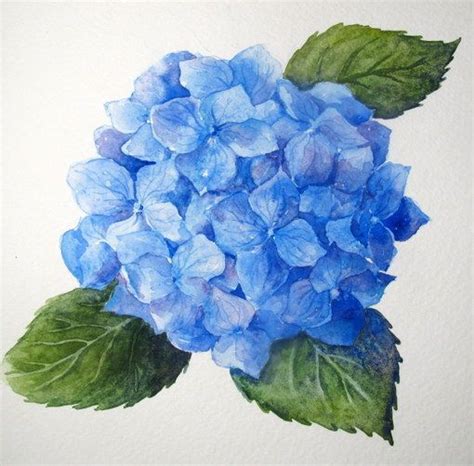 Step By Step Watercolor How To Paint A Blue Hydrangea Everyday Artist