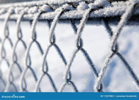 Frost On A Fence Stock Image Image Of Natural Christmas 17427883