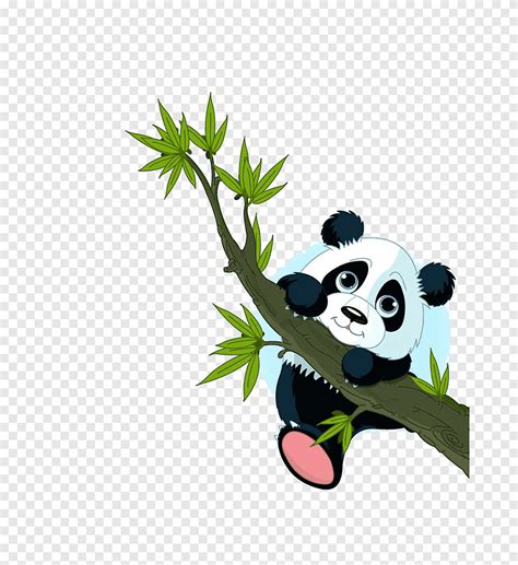 Cute Panda Panda Cartoon Png Pngegg