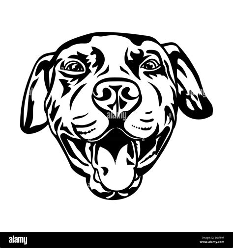 Pitbull Dog Black Silhouette Drawing Vector Illustration Stock Vector