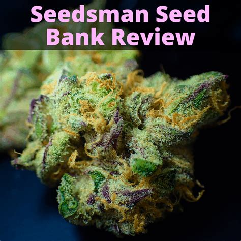 Seedsman Seed Bank Review Why Its Not Our Top Choice Grow Light Info