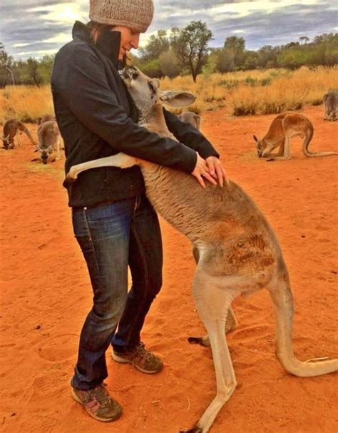 A Kangaroo Cant Stop Hugging The Volunteers Who Saved Her Life Rbeamazed