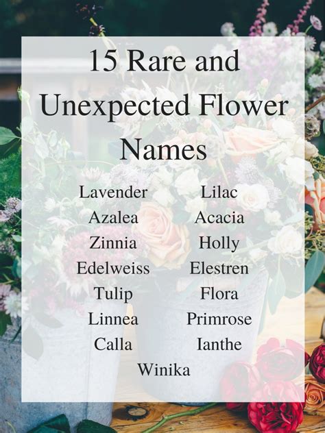 Rare Beautiful Flower Names Top 11 Most Amazing Rare Flowers You May