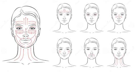 Face Massage Lines Facial Massage Instructions Vector Illustration Stock Vector Illustration