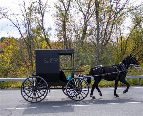An Amish Carriage Rides Through Upper New York State Editorial