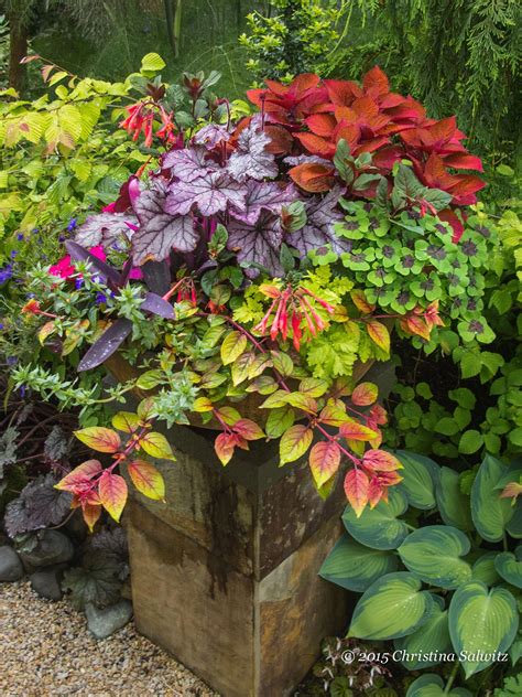 Top Tips Tricks And Methods For The Perfect Container Gardening