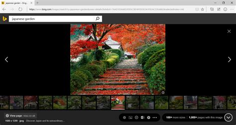 Bing Image Search Updated More Features Added Neowin