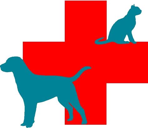 Veterinary Symbol Clipart 10 Free Cliparts Download Images On