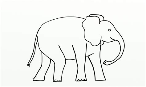 Elephant Outline Printable 6 Free Pdf Printables Printablee