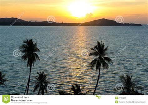 Tropical Sea View Stock Photo Image Of Calm Beautiful 27187274
