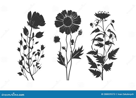 Three Black Silhouettes Of Flowers Vector Illustration Design Stock