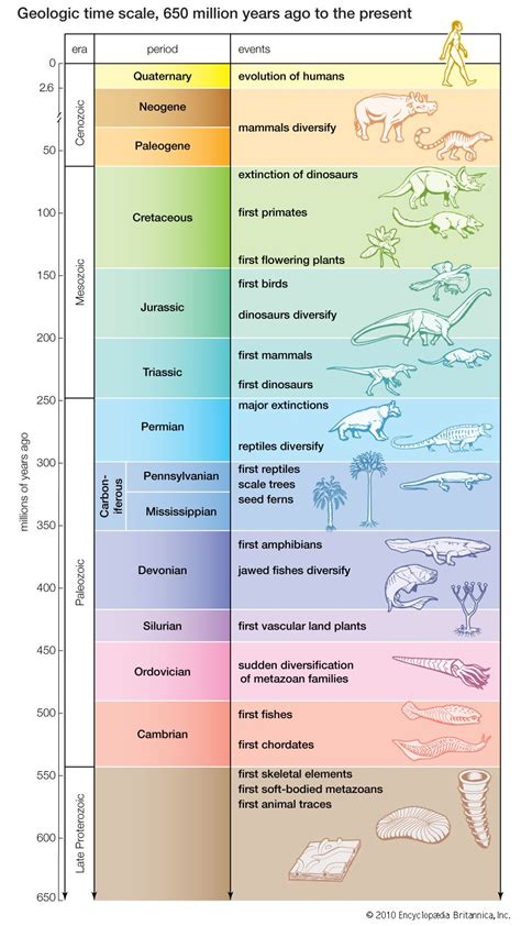 Life Evolution And The History Of Life On Earth Britannica