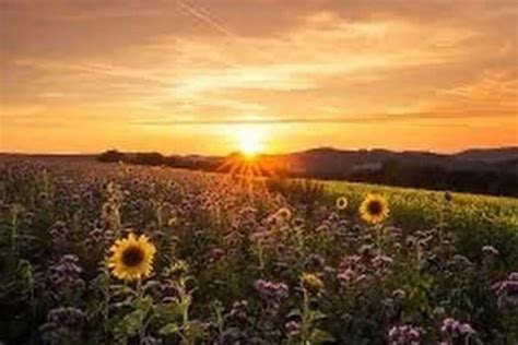 The summer solstice 2021, the longest day of the year, will fall on monday, 21 june. Summer Solstice 2020: All You Need to Know About The ...