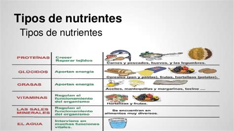 Mapa Conceptual De Nutrientes Nutrientes Escenciales Vrogue Co
