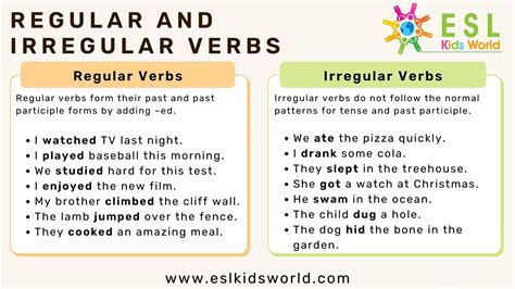 Examples Of Regular And Irregular Verbs V V V Form Past And Hot Sex Picture