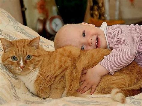 Pin By Mary On Kute Kits Cat Kids Silly Cats Animals For Kids