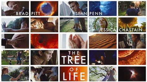 John Piippo The Tree Of Life The Most Intellectually And