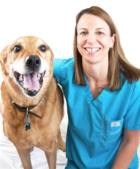 Suzanne L Hunter Dvm Dacvs Las Vegas Veterinary Specialty Center