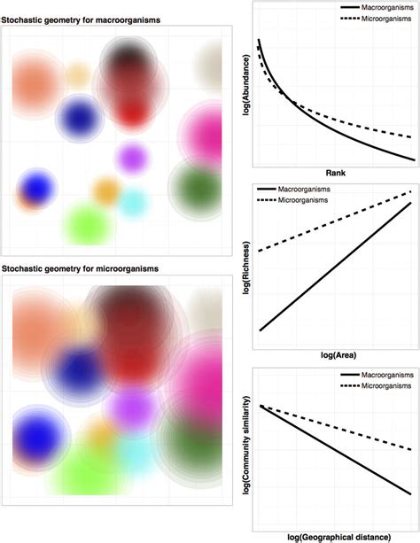 Model Simulation Results Of The Stochastic Geometry Theory Mcgill