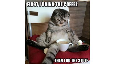 45 Funny Coffee Memes All Humor And Coffee Lovers Can Not Miss