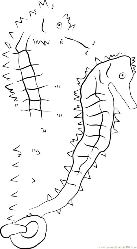 Tiger Tail Seahorse Dot To Dot Printable Worksheet Connect The Dots