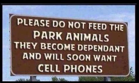 No carrots, do not feed the animals sign. (#Humor) Do not feed the park animals, or they'll become ...