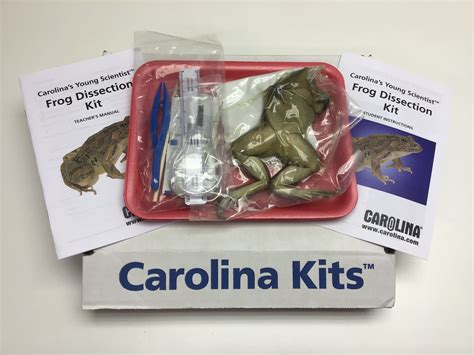 Frog Dissection Kit Tillescenter Specimens Science Education