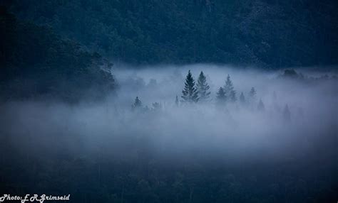 A Foggy Morning In Explore Samdalsvatnet Bergen Norway Flickr