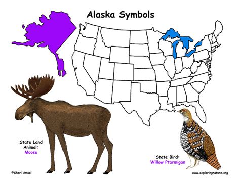 Alaska Habitats Mammals Birds Amphibians Reptiles