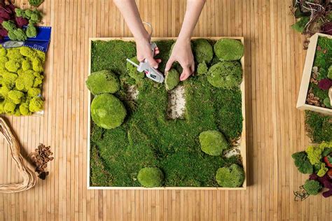 How To Do Moss Wall Art Storables