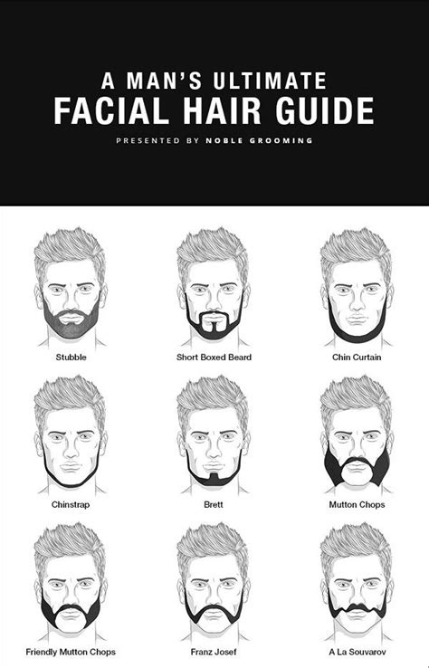 infographic the ultimate guide to facial hair styles for men mens facial hair