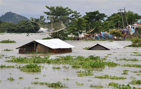 Assam Flood In Pictures Third Wave Submerges 92 Of Kaziranga National Park